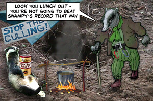 Badgers in direct action against culling