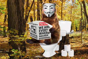 Do Bears Shit In The Woods