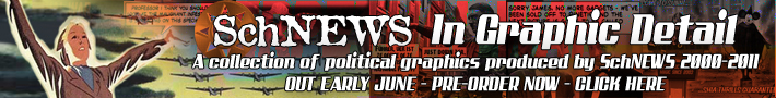 SchNEWS In Graphic Detail - NEW BOOK OUT June 1st 2011