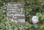 This cherry tree was planted by 2 survivors of hiroshima in august 1985